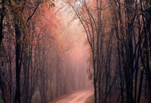 打花了！方硕助攻曾凡博空接上进&北京领先宁波37分.