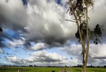 29日NBA最佳镜头 约老师关键时刻单手超远三分哨响球进.