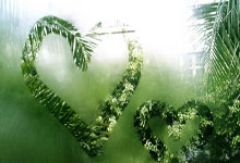 PG游戏官网：伯克回暖砍30分创CBA新高，“参考答案”努力成徐杰最强帮手.